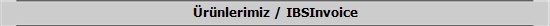 �r�nlerimiz / IBSInvoice