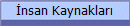 �nsan Kaynaklar�